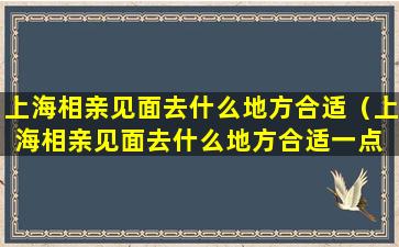 上海相亲见面去什么地方合适（上海相亲见面去什么地方合适一点 🐯 ）